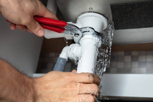 Best Flood restoration services  in Ashland, KY