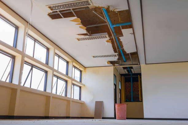 Best Local water damage restoration  in Ashland, KY