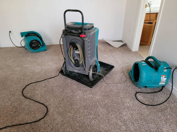  Ashland, KY Water damage restoration Pros