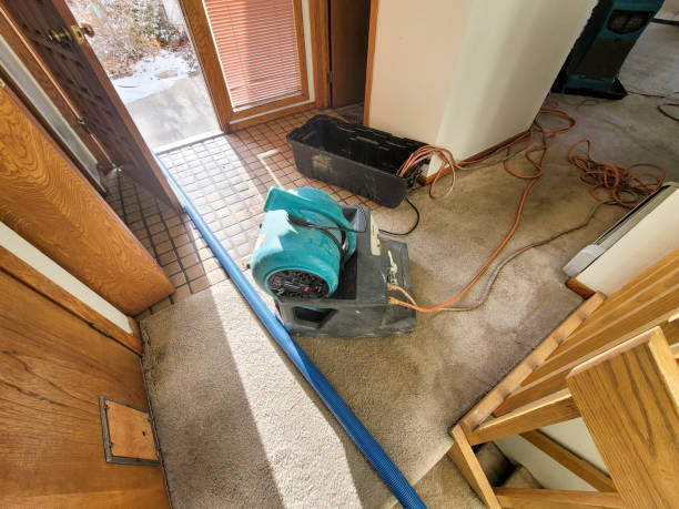 Best Water damage restoration near me  in Ashland, KY
