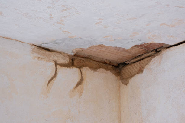 Best Sewage cleanup and water damage restoration  in Ashland, KY