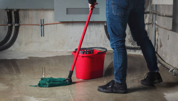 Best Basement water damage restoration  in Ashland, KY