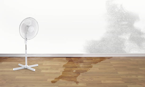Best Water damage restoration insurance claims  in Ashland, KY