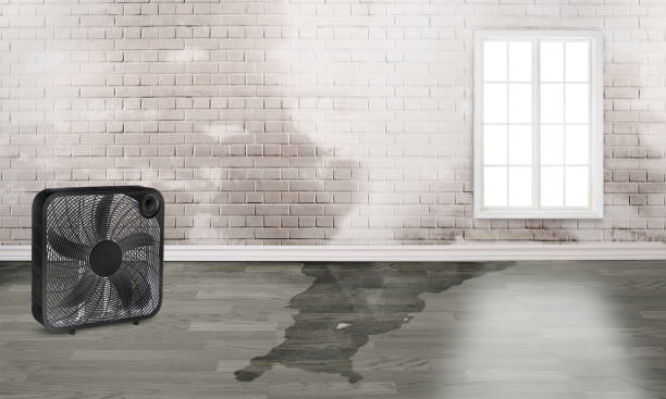 Best Residential water damage restoration  in Ashland, KY