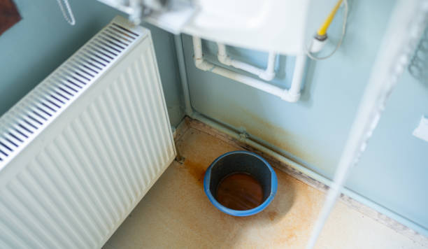 Best Ceiling water damage repair  in Ashland, KY